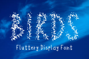 Birds Font: A Creative Display Type