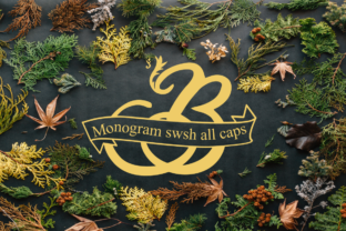 Monogram Swsh: Elegant Display Font