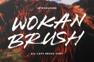 Wokan: A Fun Font for Professional Branding